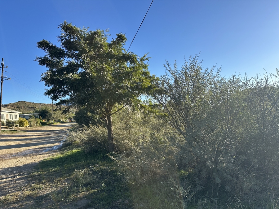 0 Bedroom Property for Sale in Barrydale Western Cape